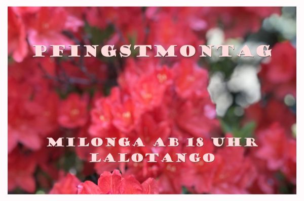 Pfingstmontags-Milonga im LALOTANGO 2026