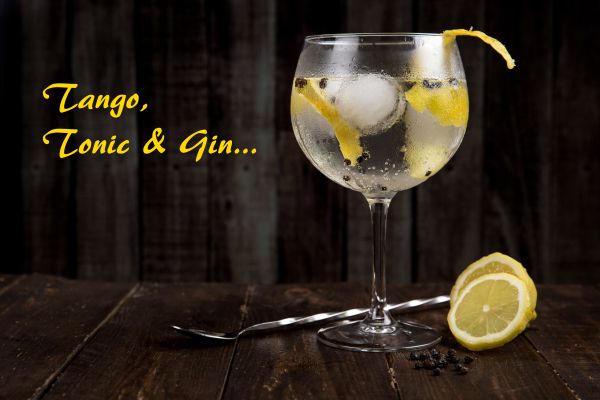 Tango, Tonic & Gin - ein Tasting der besonderen Art